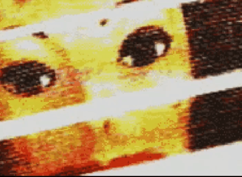 Shaye Saint John Airbags Gif