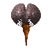 BrainCordSpin_GIF
